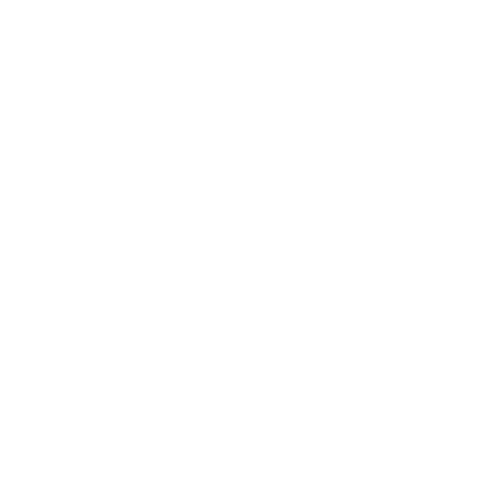 Phyn Logo
